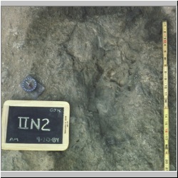 px84b-9b-11 dodm.jpg